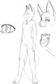 Reference Sheet For Fox Forrester  (WIP) by PoisonousVixen