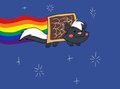 The Nyan ME