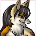 Harumi By Neritna