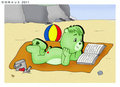 Oopsy Bear Beach GB