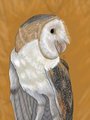 Soren by ThatBlueGryphon