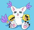 Gatomon Doodle