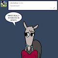 ASK BONNIE & CO 164