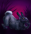 Bad Rabbit