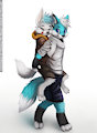 I'll carry you anywhere (CM)