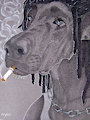 Cigarette Dog by vegastheraspberry