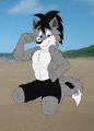 Another young wolfie