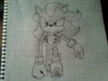 Shadow the hedgehog