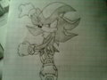shadow run!