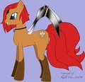 Dagger the Pony