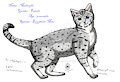 Commission 4 - MidnightAlleyCat by CatwingFluffypaw