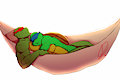Commission Raph x Leo Hammock  by Levana