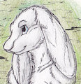 Bun Portrait
