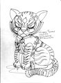 Grumpy Tigress
