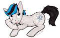 OC Pony Drawing 1/2