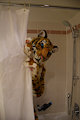 Eurofurence 22 - Fursuit Photos