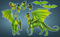 Adhara Reference for Hueroc by theOwlette