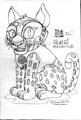 鵬　の　 猫