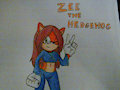 Zee the Hedgehog close up 2 by EmbertheArtist