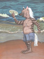 Portrait Of A Hyena Beach Bum