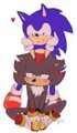 .:SonicxShadow:. by BlueChika