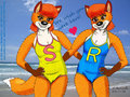 Beach Vixens
