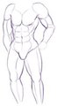 Muscle Practice