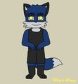 Ukyo Reference (old)