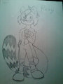 Ricky the Raccoon