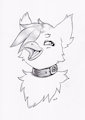 Gift art LuckyGen by MuQ