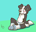 Socks by pandapaco