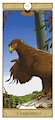 Wild Tarot de Marseille
