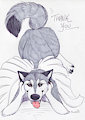 Thank you for your support on Patreon