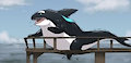 Going for a Dive! by MysticOrca