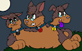 Diberus