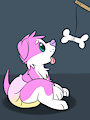 Puppy Bone Time~!?