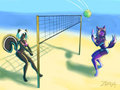 Beach voley!!! by blackat
