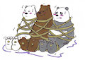 Quick Pic: Three Bound Bears