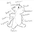 Fwosty Anatomy by Frostedscales