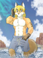 Sunny Fox <3
