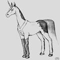 Equanoxa II by r34c
