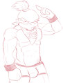 Bowser Jr