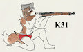 Martial Pinups: K31