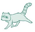 Coon
