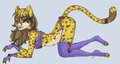 COM .:Meow:.