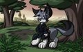 Lucile-Taur