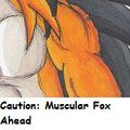 Muscles are Fabulous by terrancejones
