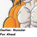 Muscle Detail Practice by terrancejones