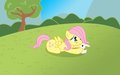 Fluttershy's new little friend