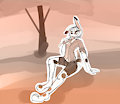 chase the bunny by dirtyscoundrel